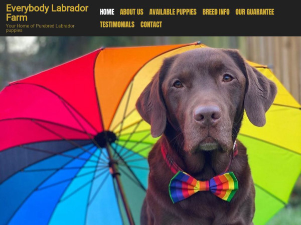 Everybodylabradorfarm.com - Labrador Puppy Scam Review