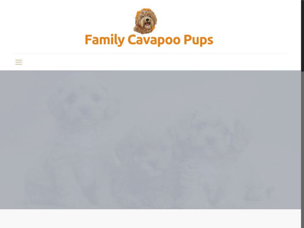 Familycavapoopups.com - Cavapoo Puppy Scam Review