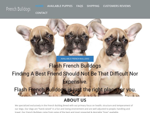 Flashfrenchbulldogs.com - French Bulldog Puppy Scam Review