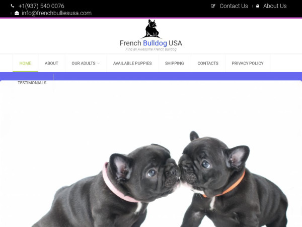 Frenchbullsusa.com - French Bulldog Puppy Scam Review