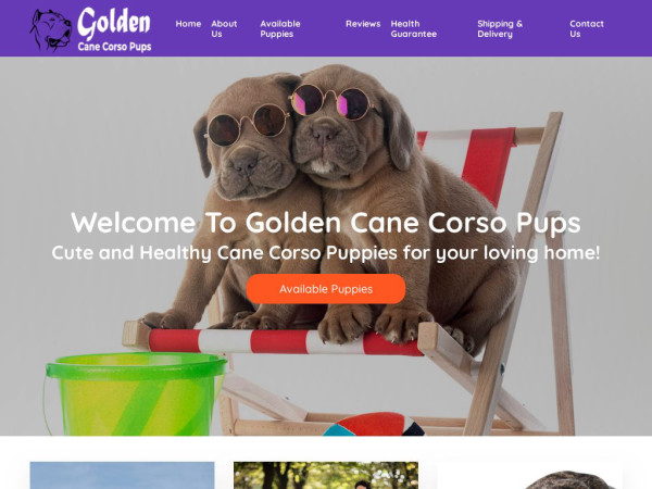 Goldencanecorsopups.com - Cane Corso Puppy Scam Review