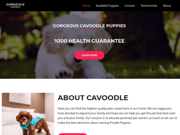 Gorgeouscavoodles.com - Cavapoo Puppy Scam Review