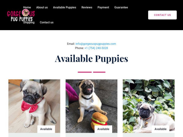 Gorgeouspugpuppies.com - Pug Puppy Scam Review