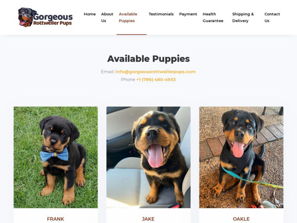 Gorgeousrottweilerpups.com - Rottweiler Puppy Scam Review