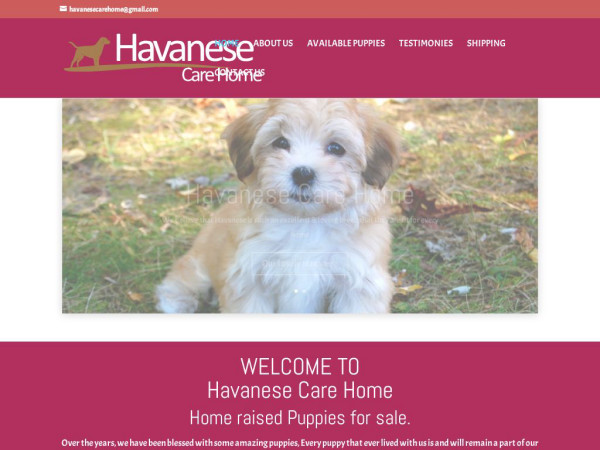 Havanesecarehome.com - Havanese Puppy Scam Review