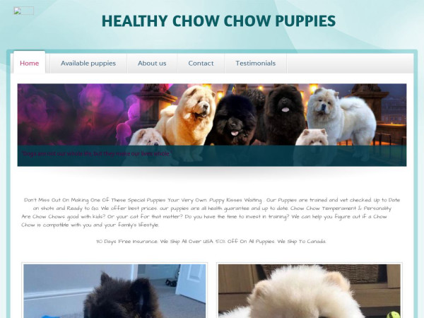 Healthychowchowlitters.com - Chowchow Puppy Scam Review