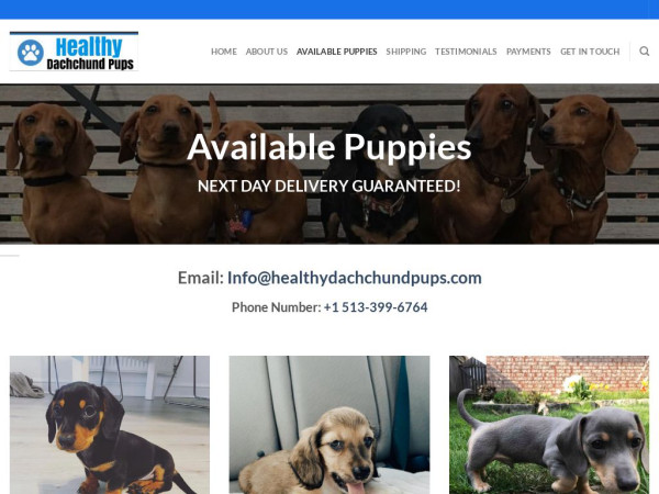 Healthydachchundpups.com - Dachshund Puppy Scam Review