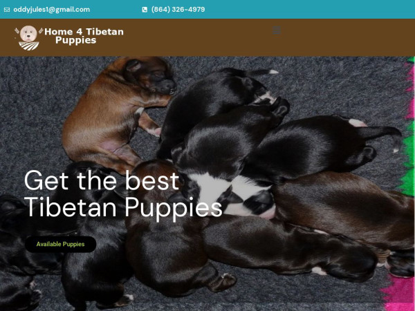 Home4tibetanpuppies.com - Tibetan Mastiff Puppy Scam Review