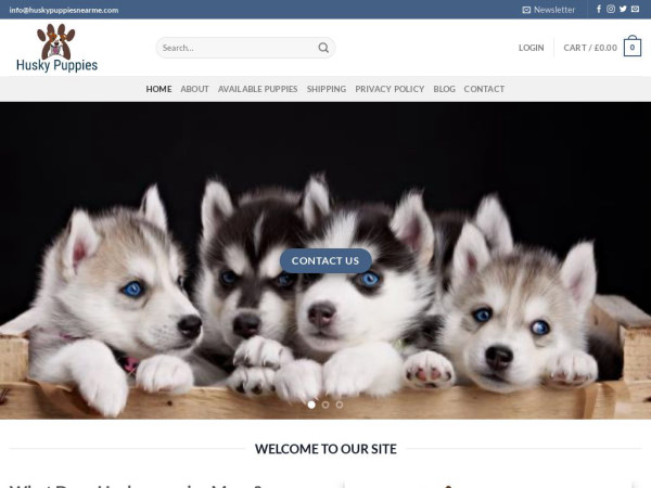 Huskypuppiesnearme.com - Husky Puppy Scam Review