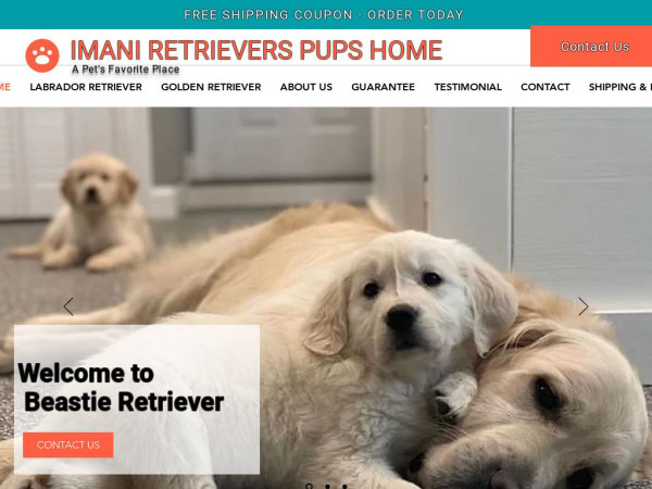 Imaniretrieverpupshome.com - Golden Retriever Puppy Scam Review