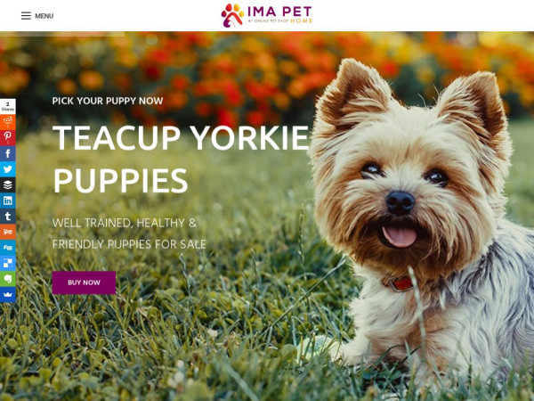 Imapethome.com - Yorkshire Terrier Puppy Scam Review