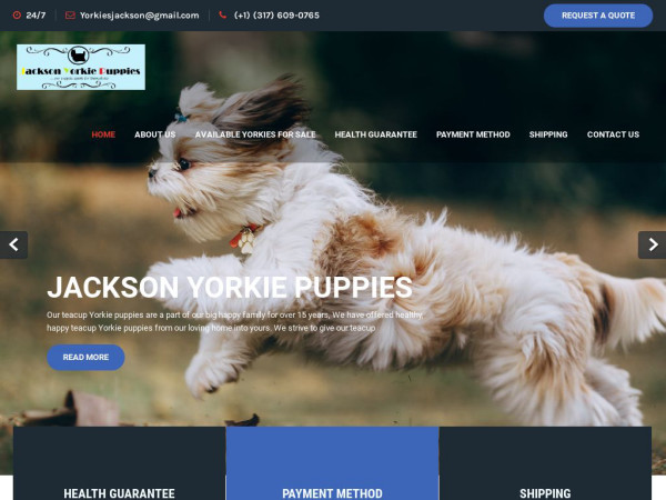 Jacksonyorkiepuppies.dog - Yorkshire Terrier Puppy Scam Review