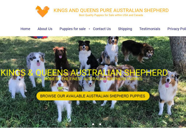 Kandqaustralianshepherd.com - Germanshepherd Puppy Scam Review