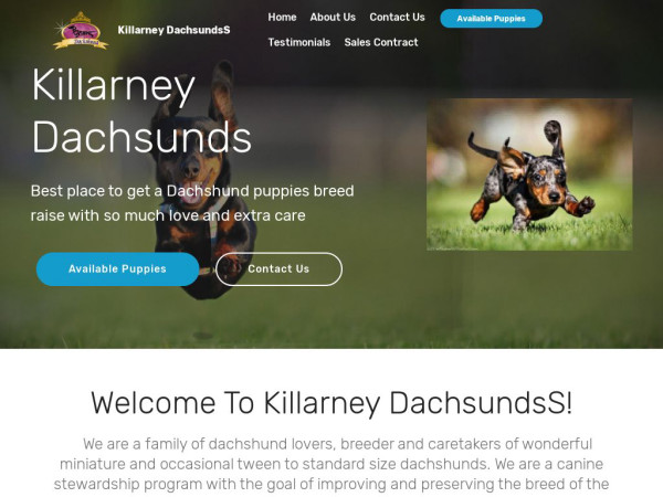 Killarneydachsunds.com - Dachshund Puppy Scam Review