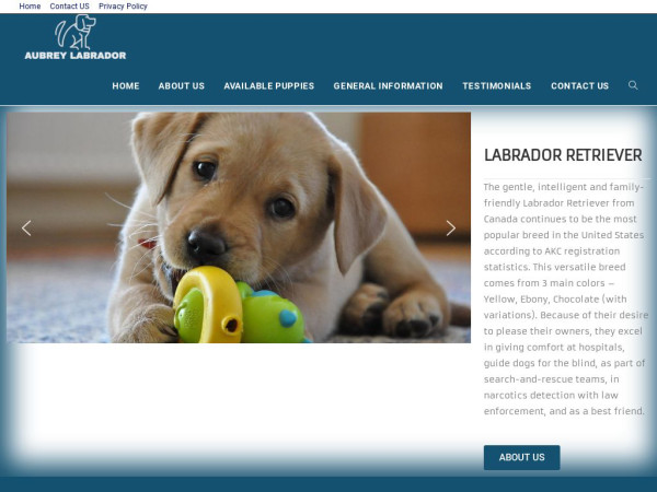 Labrador-retriverpuppiesforsale.com - Golden Retriever Puppy Scam Review