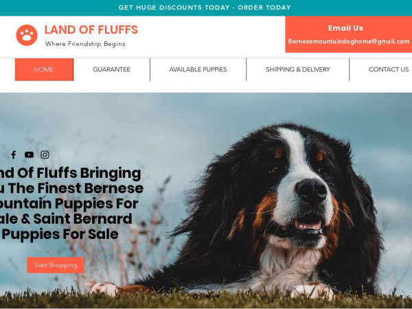 Landoffluffs.com - Bernese Mountain Dog Puppy Scam Review