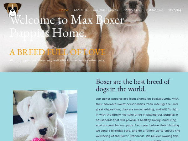 Maxboxerpuppieshome.com - Boxer Puppy Scam Review