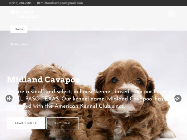 Midlandcavapoo.com - Cavapoo Puppy Scam Review