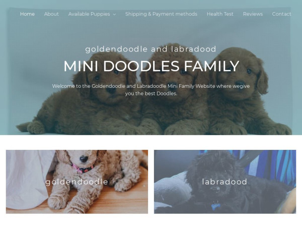 Minidoodlesfamily.com - Golden Doodle Puppy Scam Review