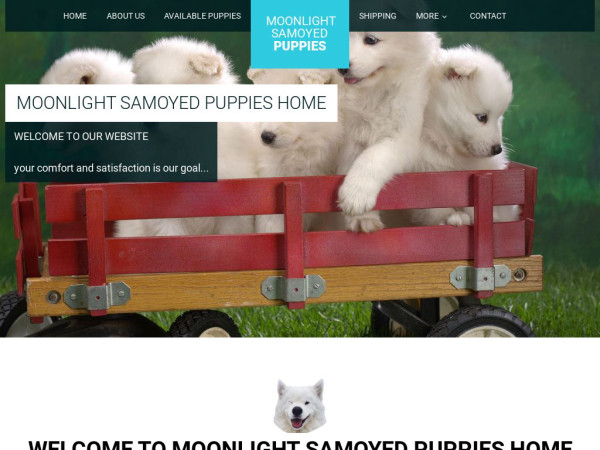 Moonlightsamoyeds.com - Samoyed Puppy Scam Review