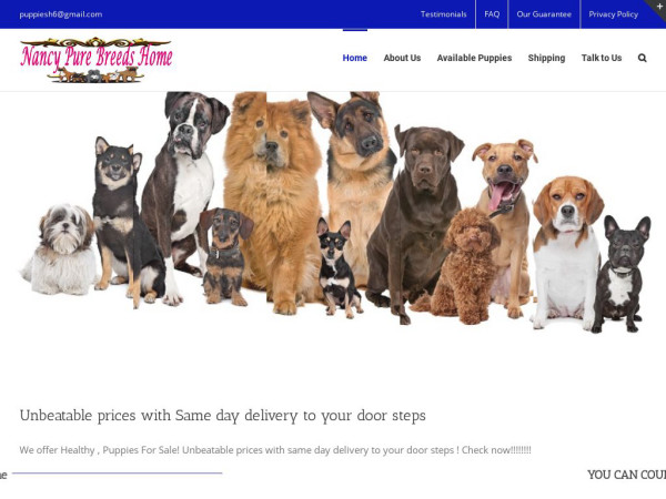 Nancypurebreeds.com - English Bulldog Puppy Scam Review