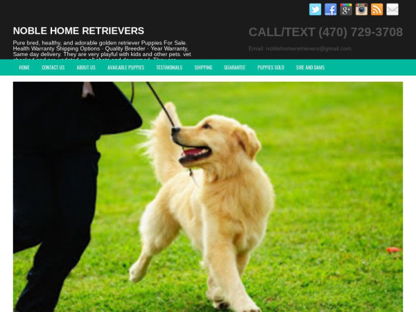 Noblehomeretrievers.com - Golden Retriever Puppy Scam Review