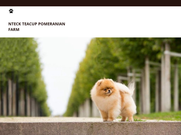 Nteckpomeranianpups.net - Pomeranian Puppy Scam Review