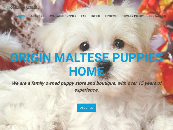 Originmaltesehome.com - Maltese Puppy Scam Review