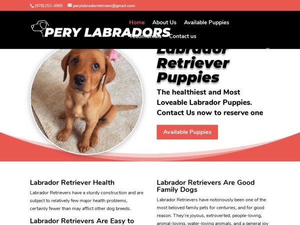 Perylabradorretrivers.com - Golden Retriever Puppy Scam Review