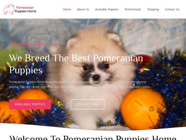 Pomeranianpuppieshome.net - Pomeranian Puppy Scam Review