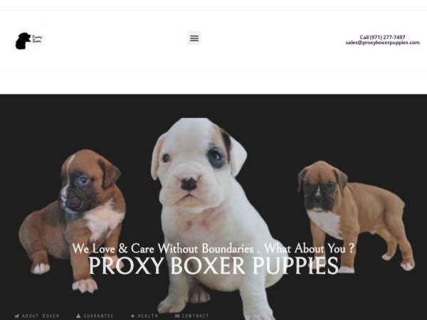 Proxyboxerpuppies.com - Boxer Puppy Scam Review