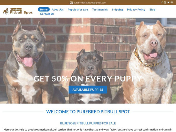 Purebredpitbullspot.com - Pit Bull Puppy Scam Review