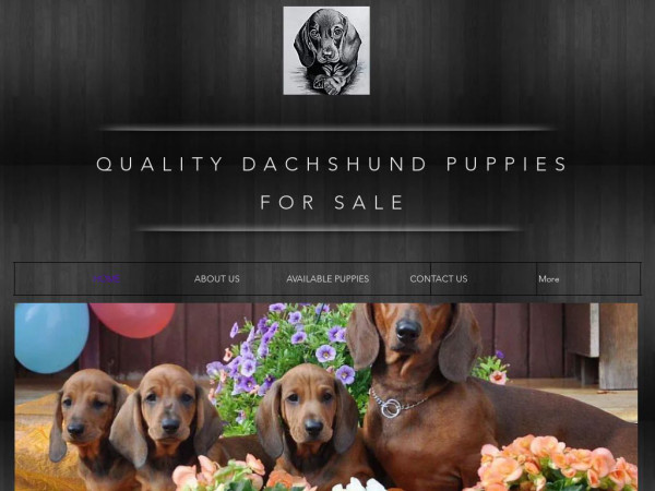 Qualitydachshundforsale.com - Dachshund Puppy Scam Review