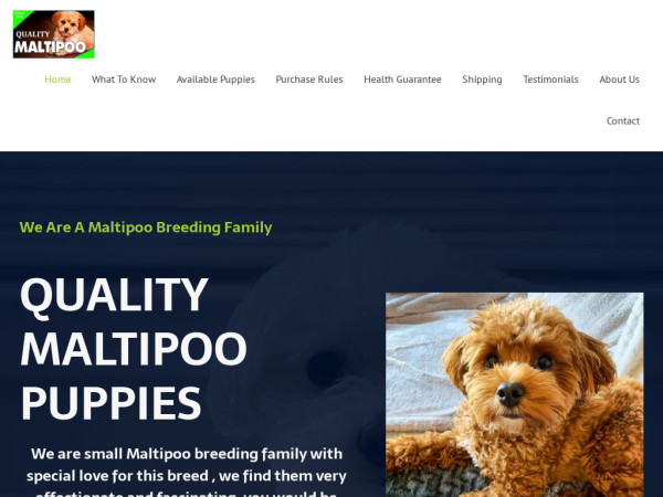 Qualitymaltipoo.com - Maltipoo Puppy Scam Review