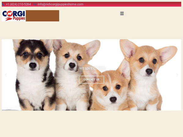 Richcorgipuppieshome.com - Corgi Puppy Scam Review