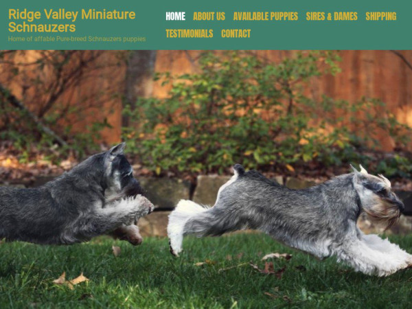 Ridgevalleyschnauzers.com - Schnauzer Puppy Scam Review