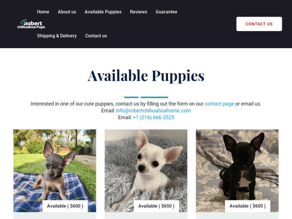 Robertchihuahuahome.com - Chihuahua Puppy Scam Review