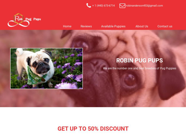 Robinpugpups.com - Pug Puppy Scam Review