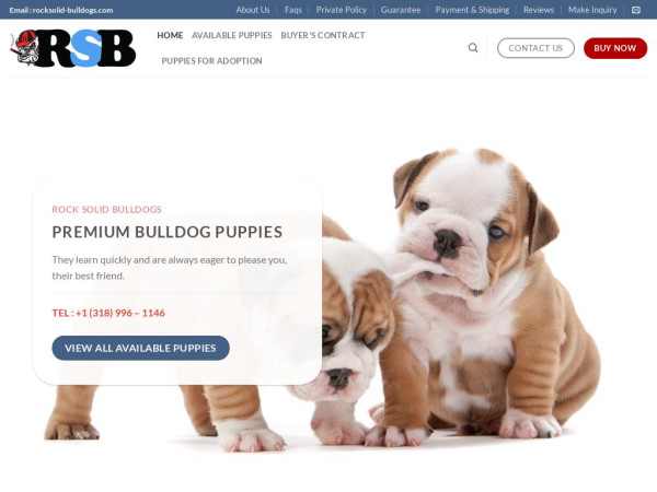 Rocksolid-bulldogs.com - Bulldog Puppy Scam Review