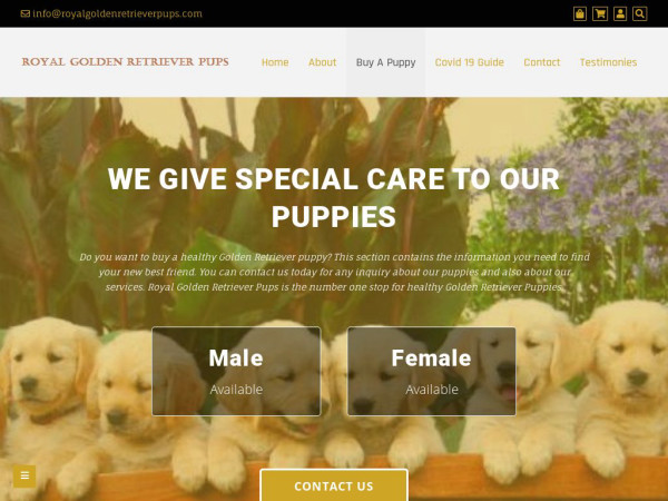 Royalgoldenretrieverpups.com - Golden Retriever Puppy Scam Review