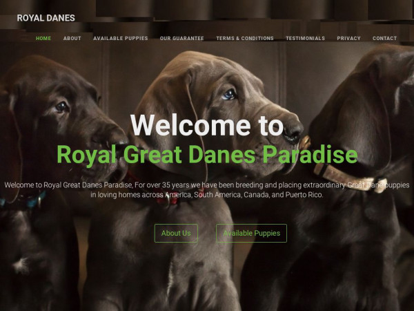 Royalgreatdanesparadise.com - Great Dane Puppy Scam Review