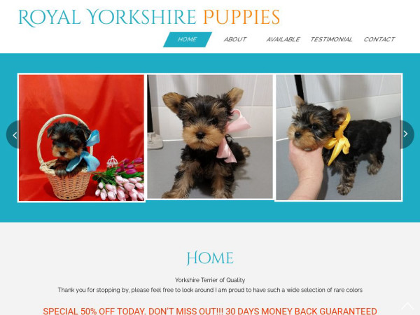 Royalyorkie.com - Yorkshire Terrier Puppy Scam Review