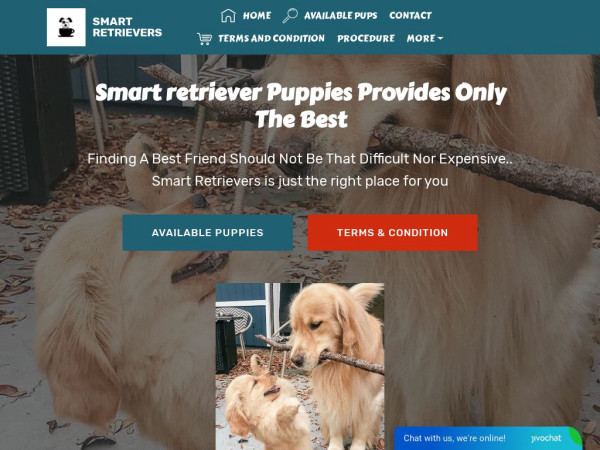 Smartretrieverpuppies.com - Golden Retriever Puppy Scam Review