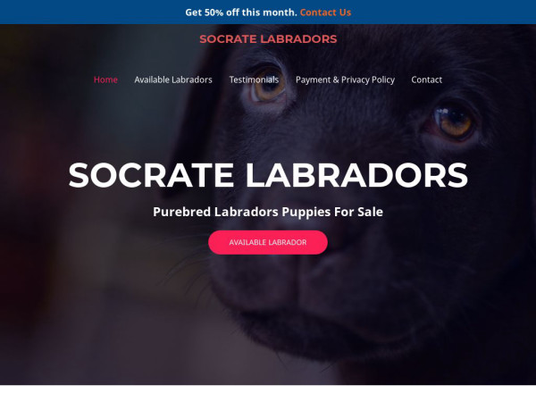 Socratelabradors.com - Labrador Puppy Scam Review