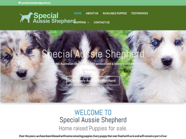 Specialaussieshepherd.com - Germanshepherd Puppy Scam Review