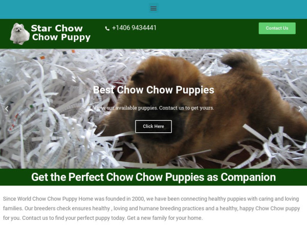 Starchowchowpuppy.com - Chowchow Puppy Scam Review