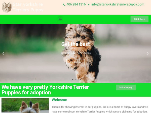 Staryorkshireterrierspuppy.com - Terrier Puppy Scam Review