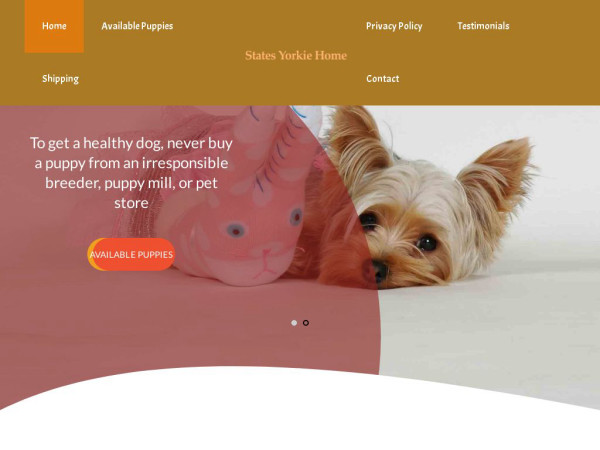 Statesyorkiehome.com - Yorkshire Terrier Puppy Scam Review