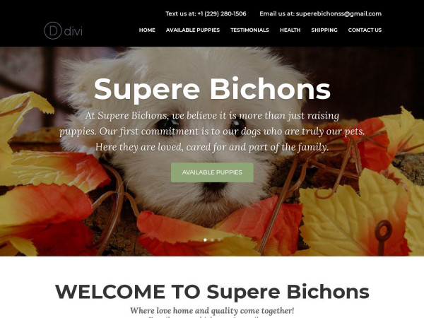 Superebichons.com - Bichon Frise Puppy Scam Review