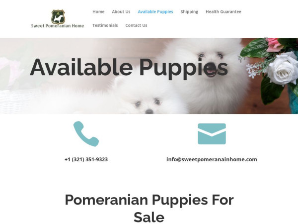 Sweetpomeranainhome.com - Pomeranian Puppy Scam Review